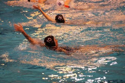 WP ProA Angers vs Nancy Cl c (215)