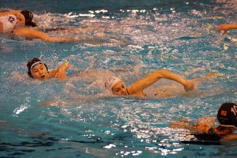 WP ProA Angers vs Nancy Cl c (216)