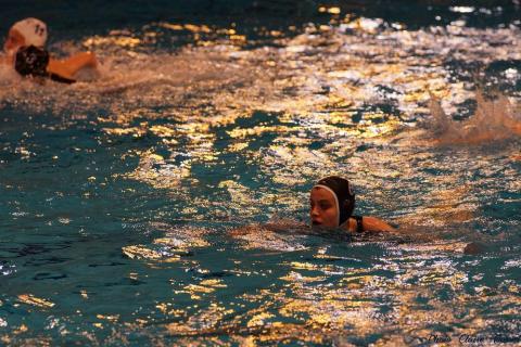 WP ProA Angers vs Nancy Cl c (233)