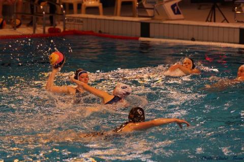 WP ProA Angers vs Nancy Cl c (242)