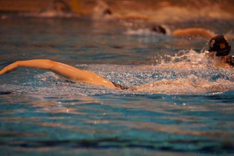 WP ProA Angers vs Nancy Cl c (282)