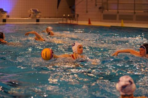 WP ProA Angers vs Nancy Cl c (288)