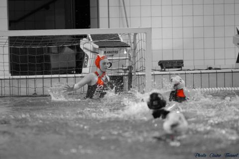 WP ProA Angers vs Nancy Cl c (331)