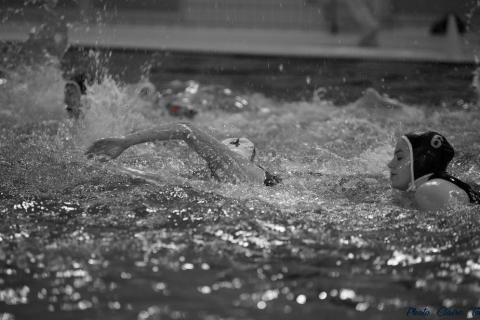 WP ProA Angers vs Nancy Cl c (344)
