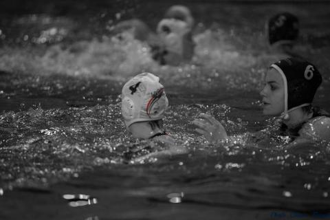 WP ProA Angers vs Nancy Cl c (359)