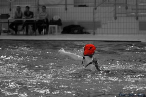WP ProA Angers vs Nancy Cl c (364)