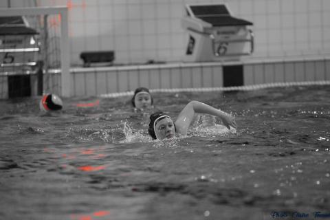 WP ProA Angers vs Nancy Cl c (373)