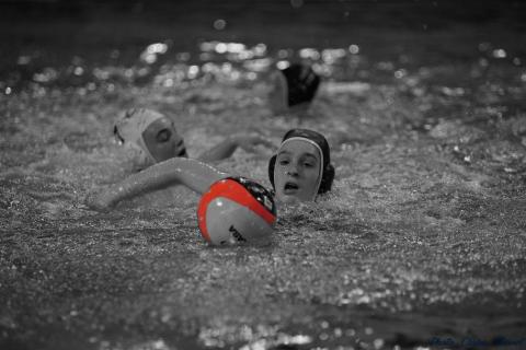 WP ProA Angers vs Nancy Cl c (384)