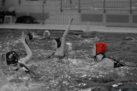 WP ProA Angers vs Nancy Cl c (393)