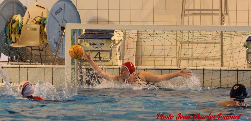 Water polo Angers Rennes JC c (55)