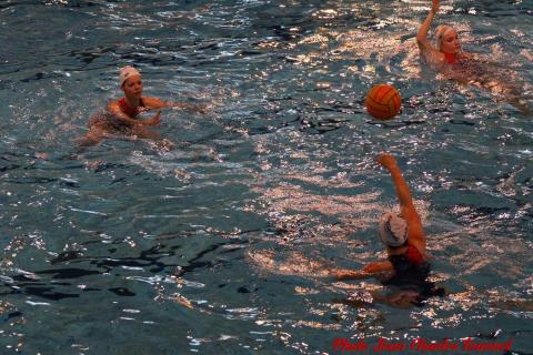 Water polo Angers Rennes JC c (10)
