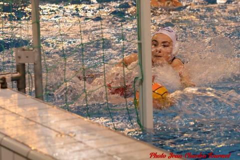 Water polo Angers Rennes JC c (114)