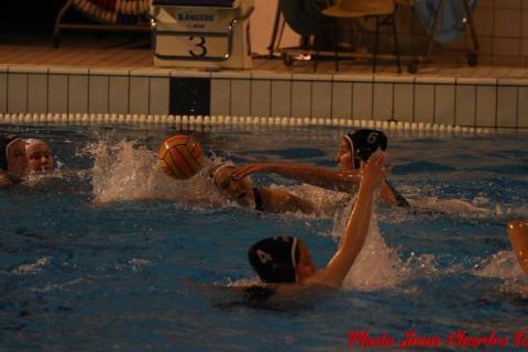 Water polo Angers Rennes JC c (160)
