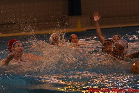 Water polo Angers Rennes JC c (216)