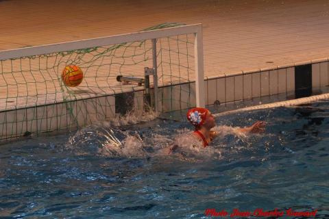 Water polo Angers Rennes JC c (29)