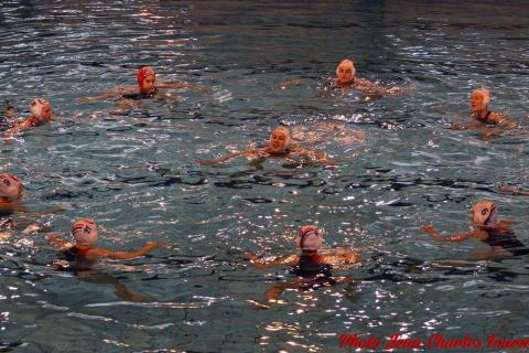 Water polo Angers Rennes JC c (41)