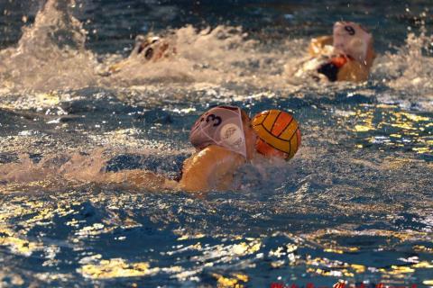 Water polo Angers Rennes JC c (48)