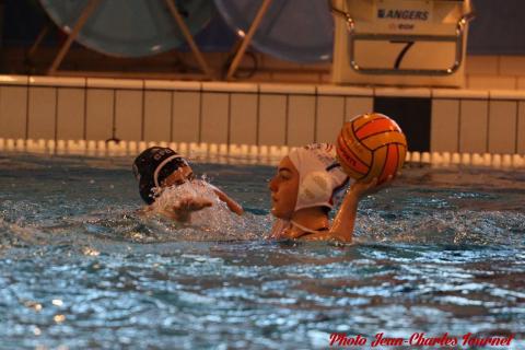 Water polo Angers Rennes JC c (50)