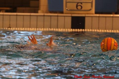 Water polo Angers Rennes JC c (79)
