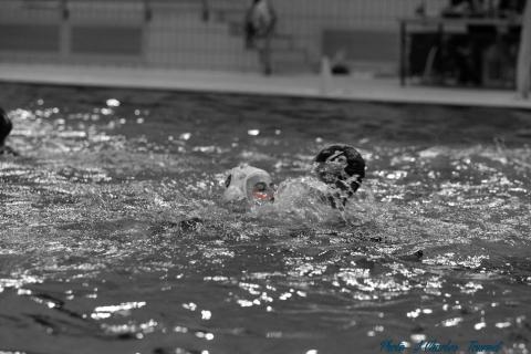 Waterpolo c (113)