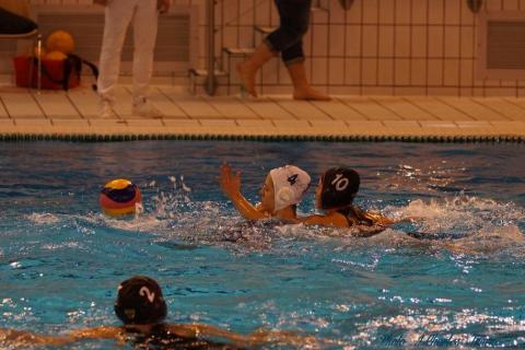 Waterpolo c (205)