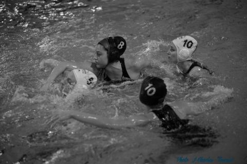 Waterpolo c (96)