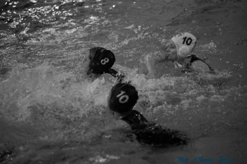 Waterpolo c (97)