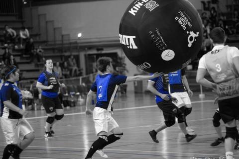 Finale-open-pro-69