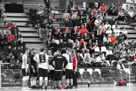 mer-matchs-de-poule-c-95