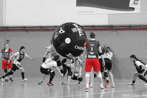 mer-matchs-de-poule-c-97