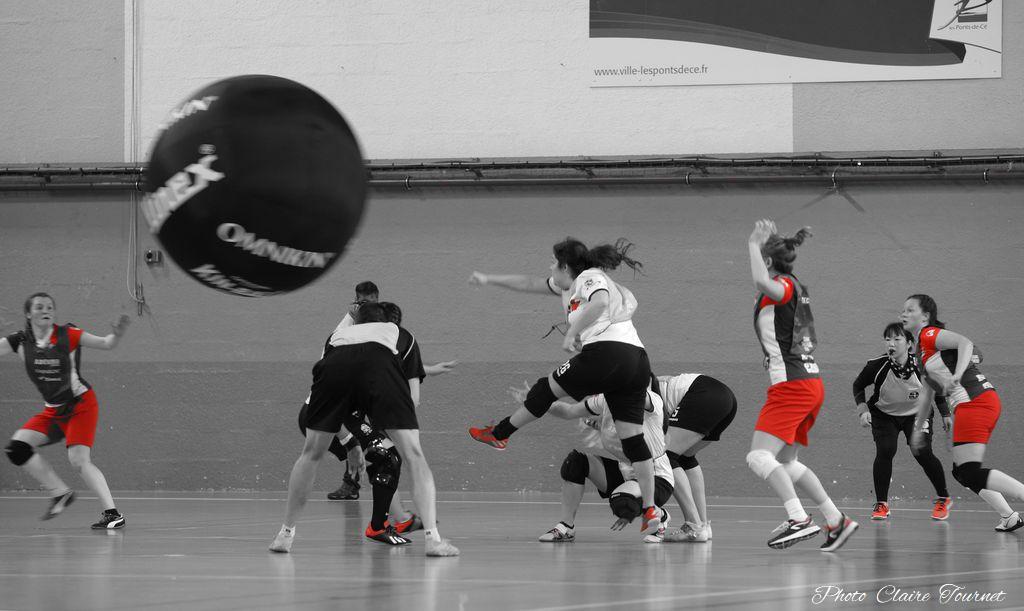 mer-matchs-de-poule-c-100