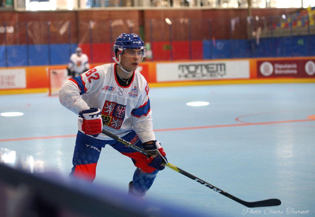 H quart Tchèques vs Slovaques c  (146)