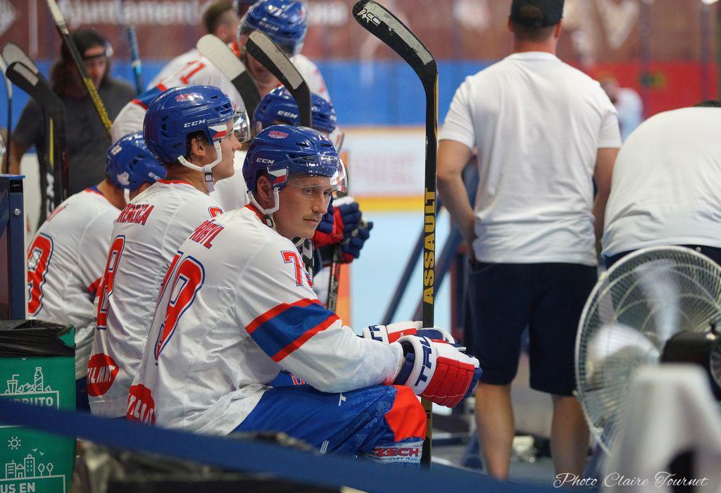 H quart Tchèques vs Slovaques c  (158)