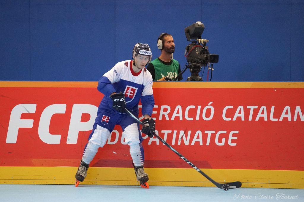 H quart Tchèques vs Slovaques c  (177)