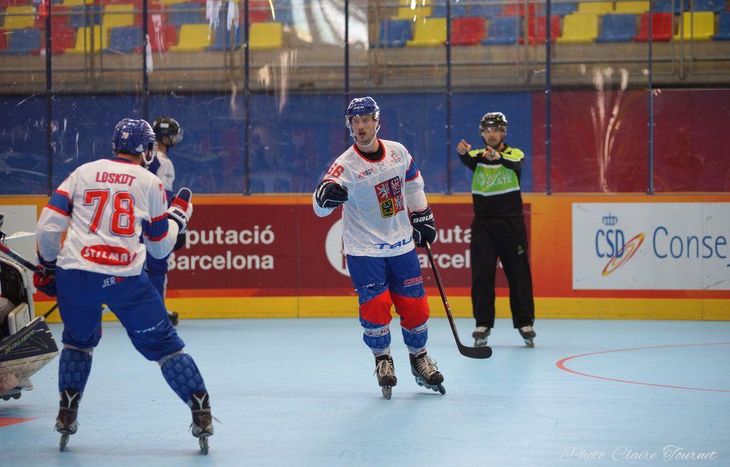 H quart Tchèques vs Slovaques c  (217)