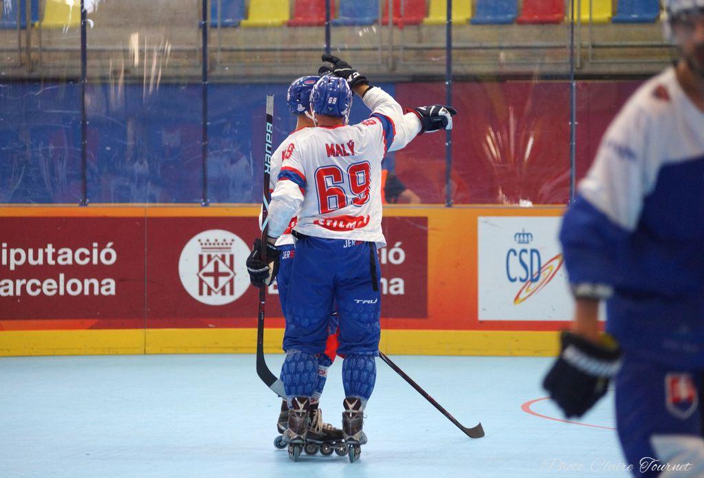 H quart Tchèques vs Slovaques c  (231)