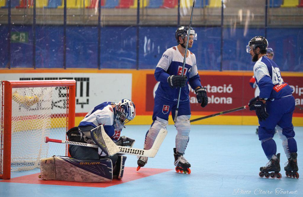 H quart Tchèques vs Slovaques c  (236)