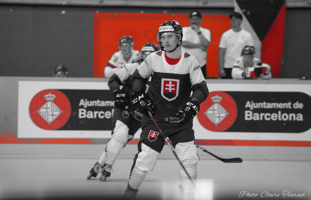 H quart Tchèques vs Slovaques c  (272)