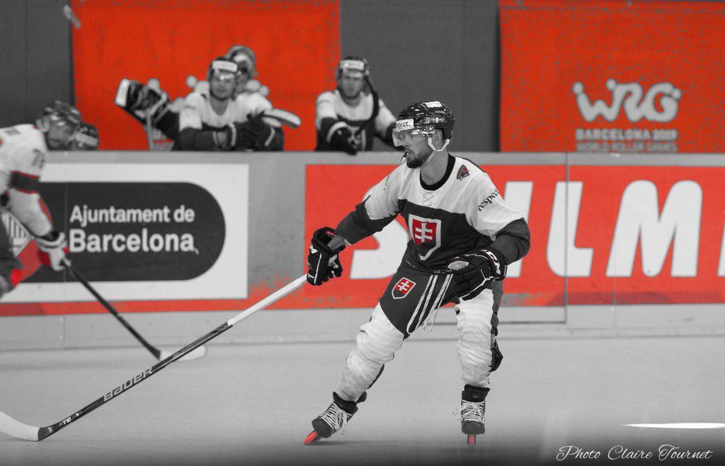 H quart Tchèques vs Slovaques c  (273)