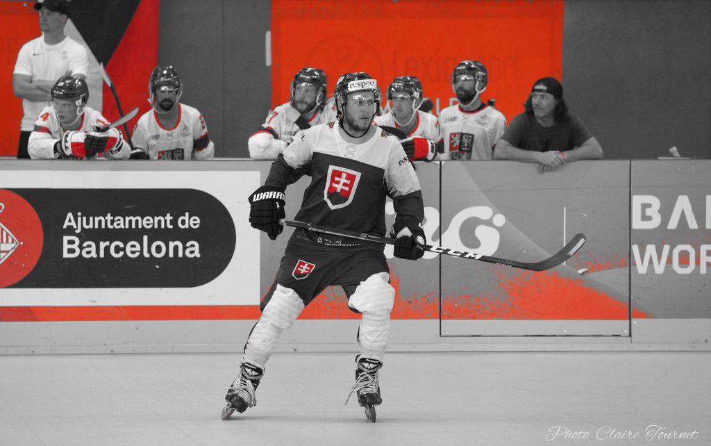 H quart Tchèques vs Slovaques c  (275)