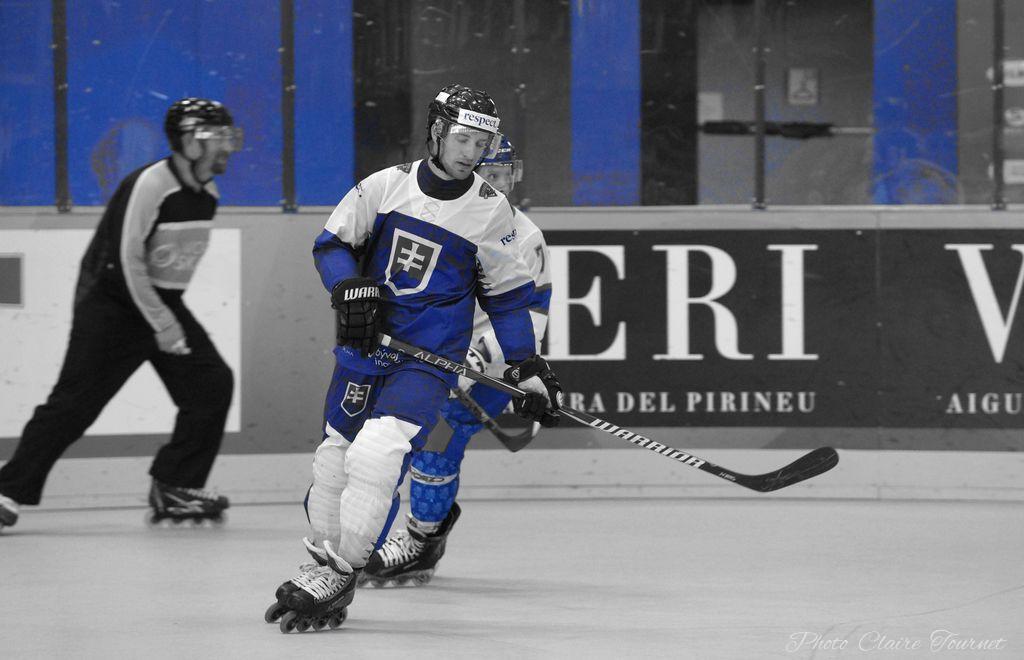 H quart Tchèques vs Slovaques c  (286)