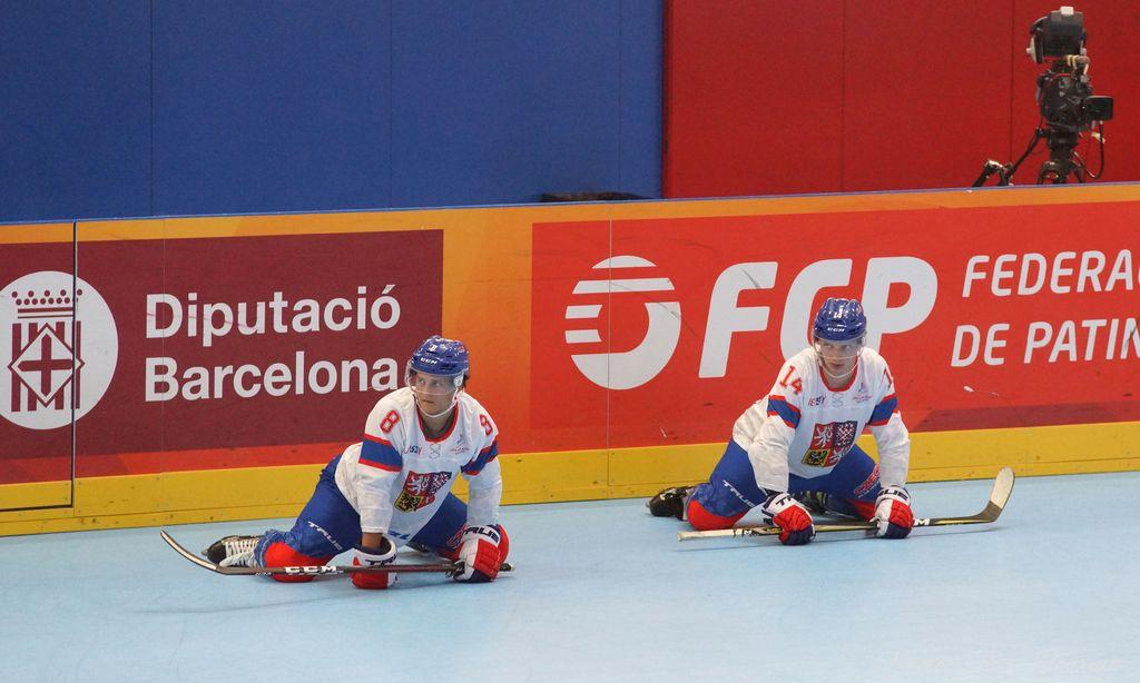 H quart Tchèques vs Slovaques c  (29)
