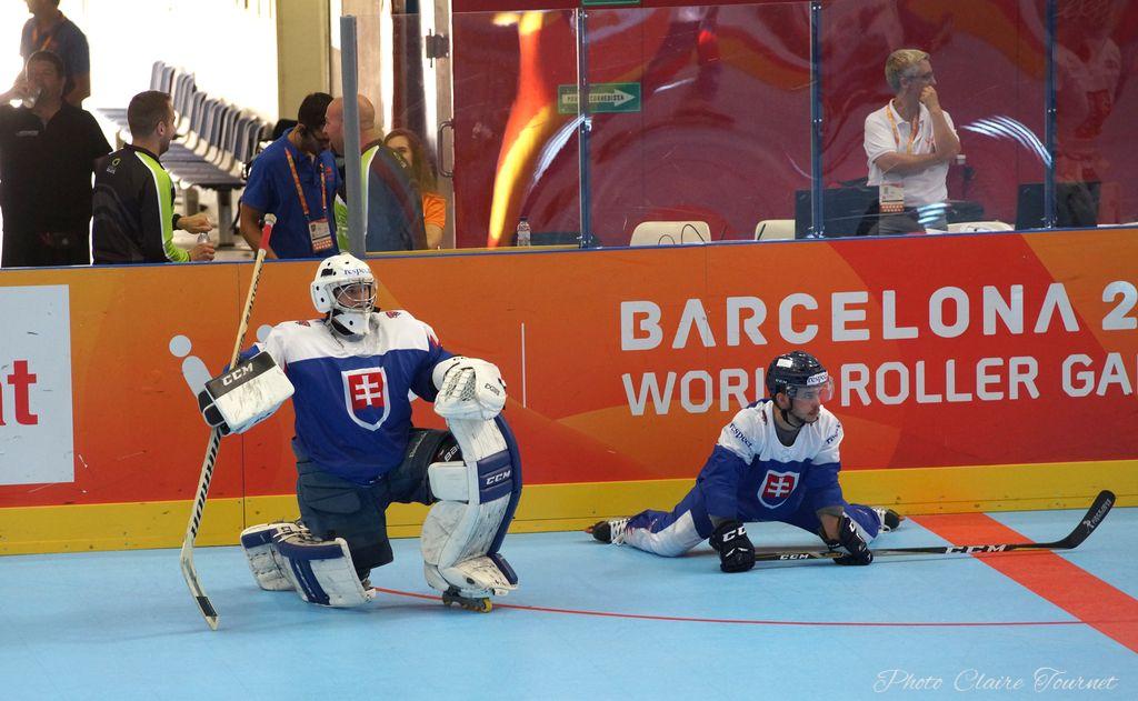 H quart Tchèques vs Slovaques c  (30)