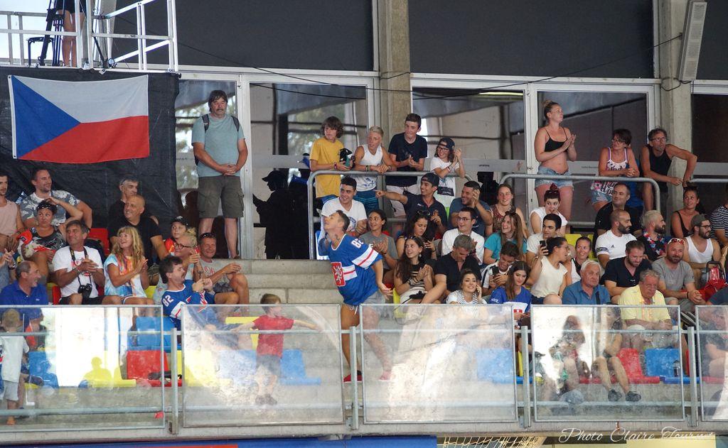 H quart Tchèques vs Slovaques c  (312)