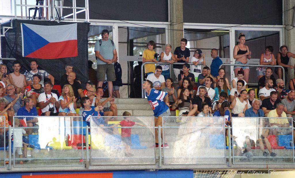 H quart Tchèques vs Slovaques c  (313)