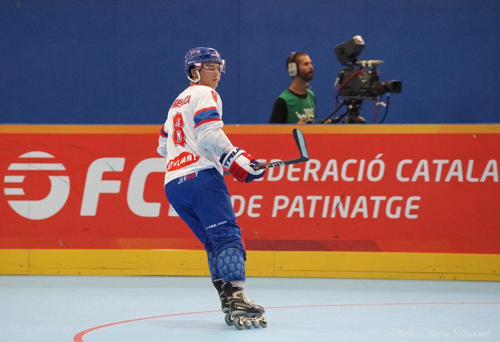 H quart Tchèques vs Slovaques c  (321)