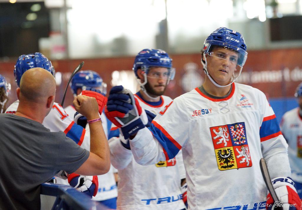 H quart Tchèques vs Slovaques c  (324)