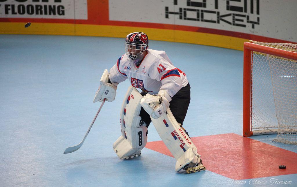 H quart Tchèques vs Slovaques c  (33)