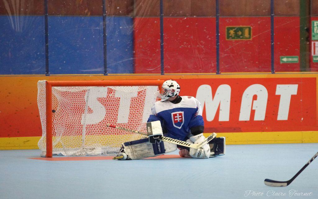H quart Tchèques vs Slovaques c  (342)