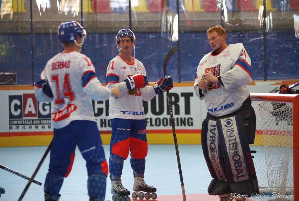 H quart Tchèques vs Slovaques c  (349)
